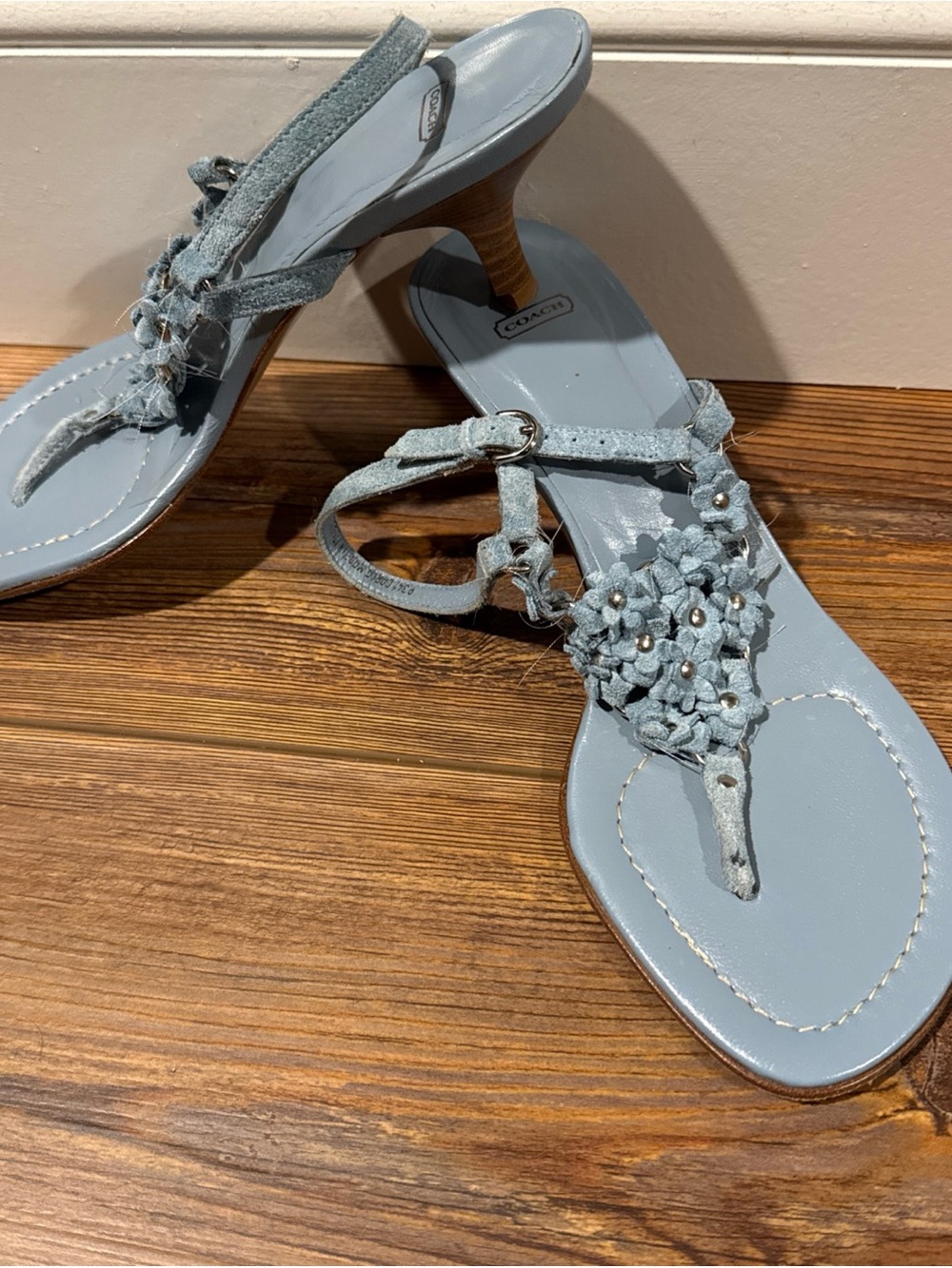 Coach Darla Light Blue Floral Leather Thong Sandals with Stud Accents